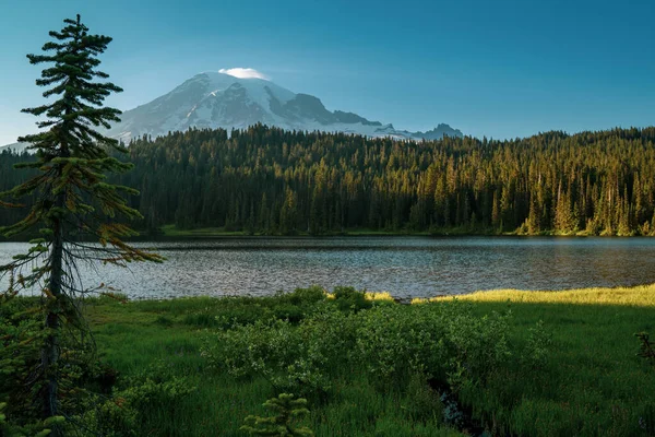 Lago Reflexão Rainier National Park Com Montanha Fundo Tomada Durante — Fotografia de Stock