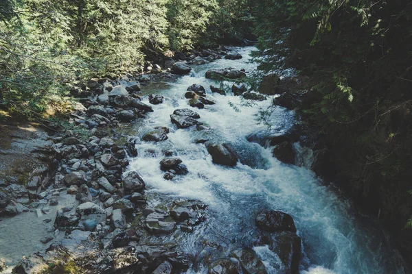 Rio Nooksack Garfo Norte Floresta Nacional Baker Snoqualmie — Fotografia de Stock