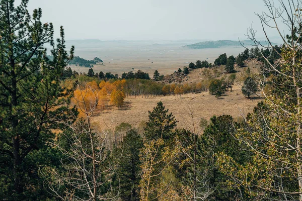 Blick Vom Wilkerson Pass Colorado Den Pike National Forest Frühherbst — Stockfoto