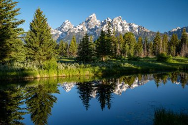 Schwabacher sabahın erken saatlerinde Grand Teton Ulusal Parkı 'na indi. Su deresinde dağ yansımaları vardı.