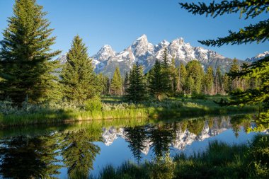 Schwabacher 'lar sabahın erken saatlerinde Grand Teton Ulusal Parkı' na iniyor.