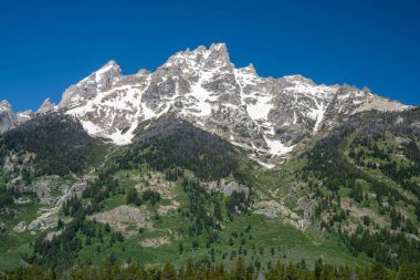 Jackson Hole yakınlarındaki Grand Teton Ulusal Parkı 'nda Tetons' un güzel dağ zirveleri. Mavi gökyüzü açık güneşli bir gün