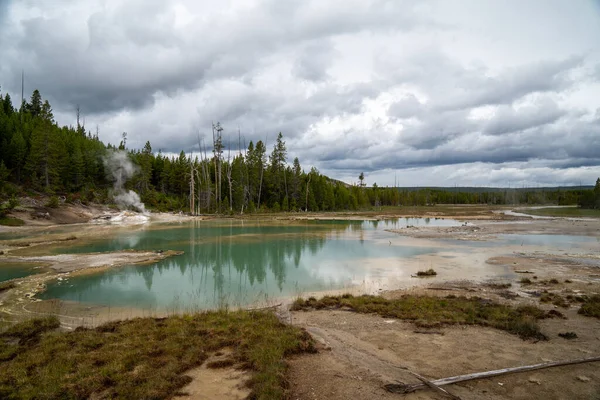 Aguas Termales Color Verde Grande Cuenca Norris Geyser Parque Nacional — Foto de Stock