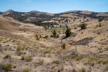 Boyalı Tepeler Orta Oregon 'daki John Day Fosil Yatakları Ulusal Anıtı' na Bakar