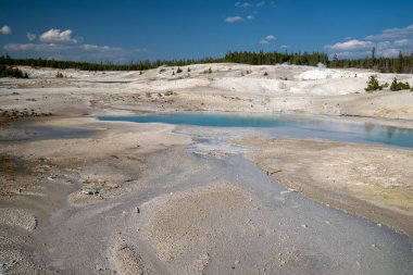 Yellowstone Ulusal Parkı 'ndaki Norris Gayzer Havzası' ndaki Porselen Havzası boyunca gayzerler ve kaplıcalar