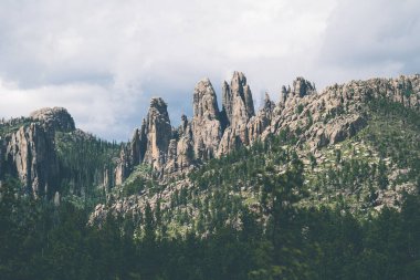 Güney Dakota 'daki Needles Otoyolu' ndaki Custer State Park 'ta güzel kuleler oluşmuş.