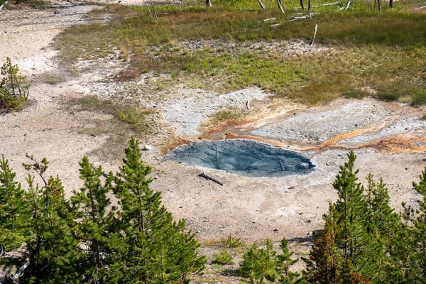 Geisers Warmwaterbronnen Langs Porseleinen Bekken Trail Norris Geyser Basin Yellowstone — Stockfoto