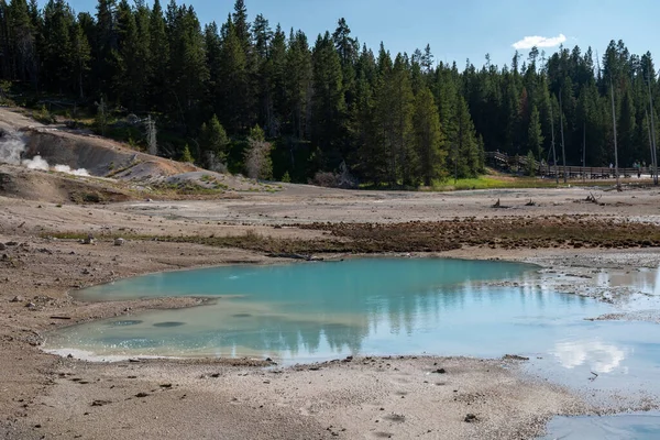 Géiseres Aguas Termales Largo Del Sendero Cuenca Porcelana Norris Geyser — Foto de Stock