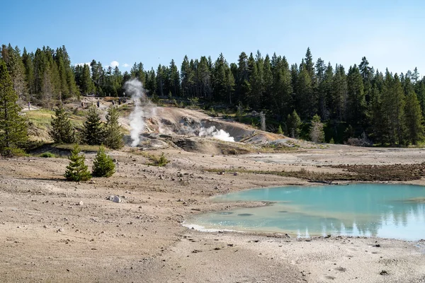 Géiseres Aguas Termales Largo Del Sendero Cuenca Porcelana Norris Geyser —  Fotos de Stock