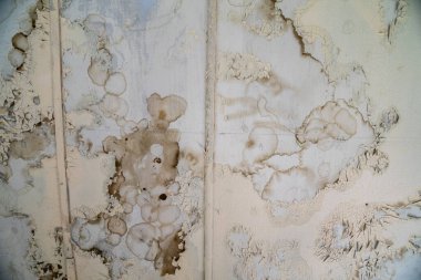 Damaged, peeling paint with water and rust spots on the wall, useful for backgrounds clipart