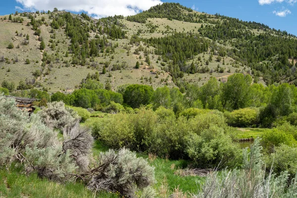 Pemandangan Pegunungan Yang Indah Bannack Ghost Town Montana Selama Musim — Stok Foto