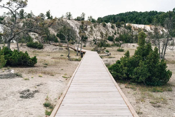 Boardwalk Για Δείτε Τους Θερμοπίδακες Και Γεωθερμικά Χαρακτηριστικά Της Περιοχής — Φωτογραφία Αρχείου