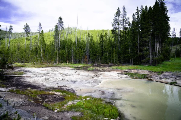 Menggoreng Pan Hot Springs Taman Nasional Yellowstone — Stok Foto