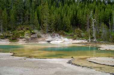 Yellowstone Ulusal Parkı 'ndaki Norris Gayzer Havzasında büyük yeşil kaplıca