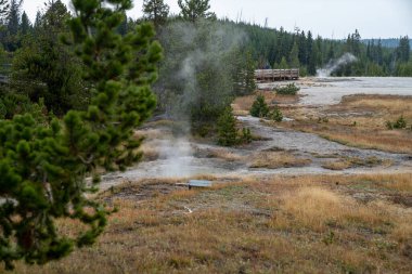 Yellowstone Ulusal Parkı 'ndaki Batı Parmak Gayzer Havzası' nda bulunan sismograf Havuzu.