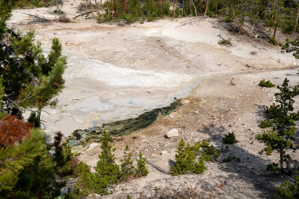 Sárvulkán Kénüst Sárcserepek Fumarolok Yellowstone Nemzeti Park Wyoming Táj Területen — Stock Fotó