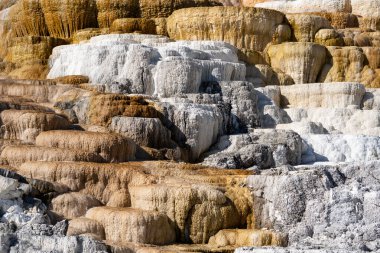 Yellowstone Ulusal Parkı 'nın Mamut Kaplıcaları' nın Travertine Terasları Parlak gün ışığında