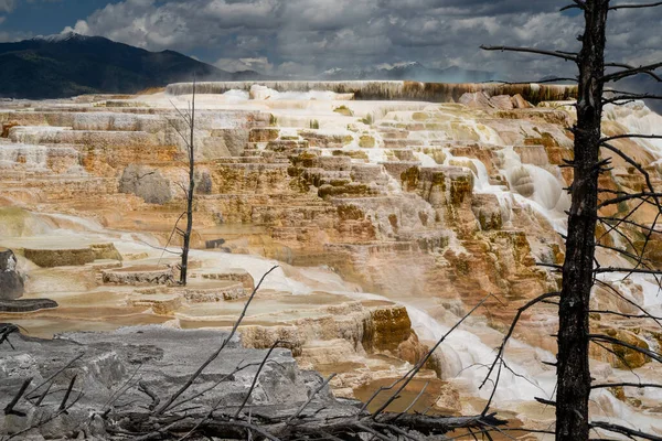 Hot Springs Terraces Overlooking Mammoth Hot Springs Yellowstone National Park — Stock Photo, Image