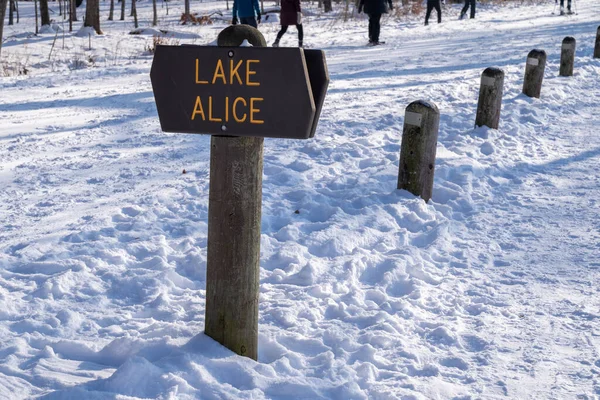 Sign Lake Alice William Brien State Park Marine Croix Minnesota — Foto de Stock