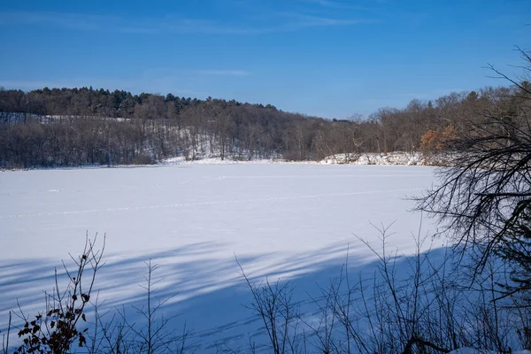 Frozen Lake Alice Winter William Brien State Park Minnesota — Stockfoto