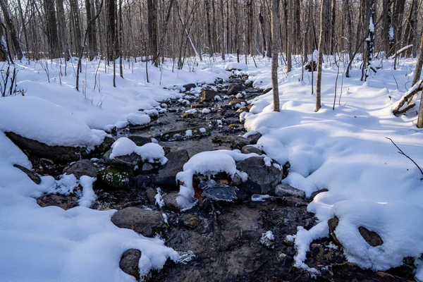 Arroyo Congelado Corriendo Por Bosque Con Rocas Cubiertas Nieve Troncos — Foto de Stock