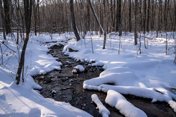 Arroyo Congelado Corriendo Por Bosque Con Rocas Cubiertas Nieve Troncos — Foto de Stock