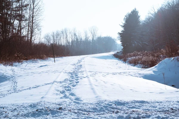 Snow Covered Railroad Tracks Winter Sunshine — Stok fotoğraf