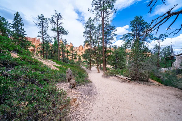 Širokoúhlý Pohled Stezku Národním Parku Bryce Canyon Jak Vidět Queens — Stock fotografie