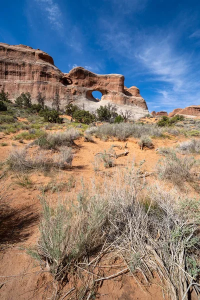 Pine Tree Arch Devils Garden Pěší Stezka Národním Parku Utah — Stock fotografie