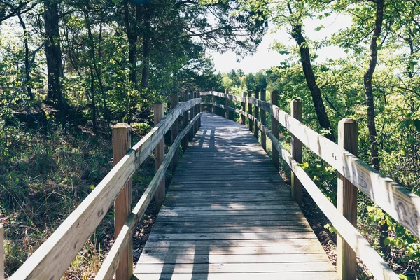 Πεζόδρομος Στο Πάρκο Tonka State Park Στη Λίμνη Ozarks Του — Φωτογραφία Αρχείου