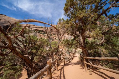 Utah Arches Ulusal Parkı 'ndaki Devils Garden yolu boyunca uzanan manzara kemeri. Düzene giden kumlu yürüyüş yolu.