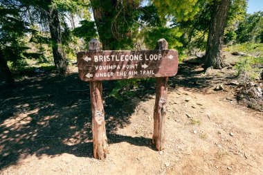 Bryce Canyon Ulusal Parkı 'ndaki patika yön tabelası - Bristlecone Döngüsü ve Yovimpa Noktası yürüyüşçüleri için yol tarifi