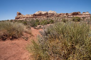 Utah Canyonlands Ulusal Parkı 'ndaki Green River Overlook' un çöl manzarası.