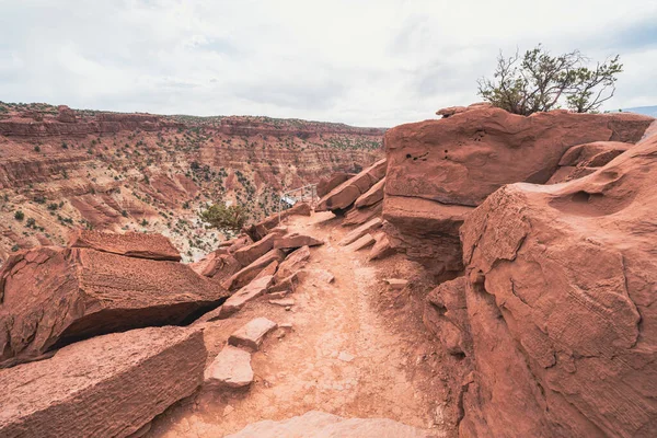 Goosenecks Apontam Trilha Capitol Reef National Park Utah — Fotografia de Stock