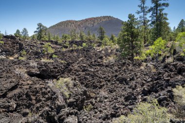 Flagstaff Arizona yakınlarındaki Günbatımı Volkan Ulusal Anıtı 'nda lav akışı