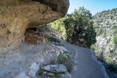 Walnut Canyon Ulusal Anıtı 'ndaki Ada Patikası boyunca yürüme yolu.