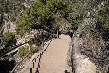 Walnut Canyon Ulusal Anıtı 'ndaki Ada Patikası boyunca yürüme yolu. Patikadan aşağı doğru dik adımlar.