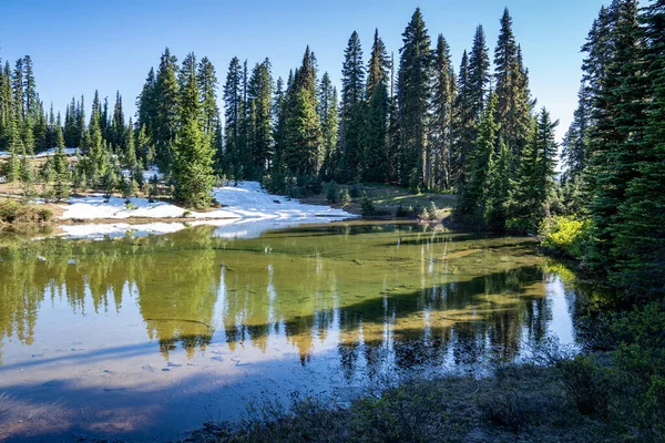 Tipsoo Lake Rainier National Park Washington State Remaining Snow Patches — Stock Photo, Image
