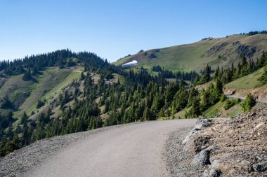 The wide, paved hiking trail at Hurricane Hill in Olympic National Park