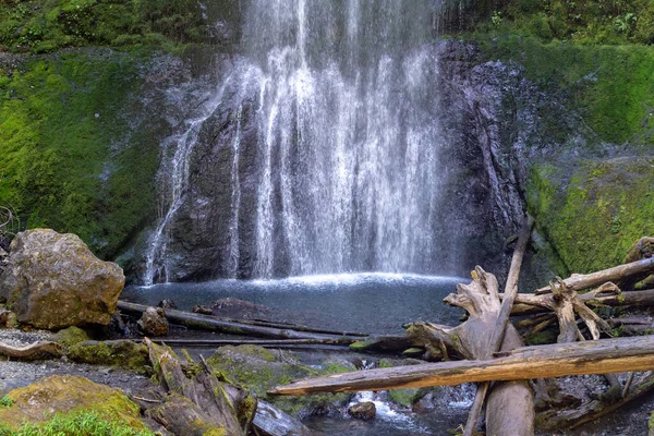 Vista Inferior Cascada Marymere Falls Parque Nacional Olímpico Zona Del — Foto de Stock