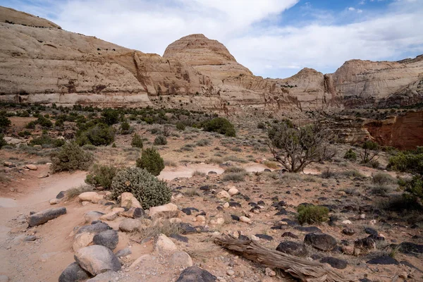 Krajina Podél Stezky Hickmanova Mostu Národním Parku Capitol Reef Utahu — Stock fotografie