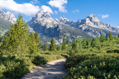 Grand Teton Ulusal Parkı 'ndaki Taggart Gölü patikasından görüldüğü gibi görkemli Grand Tetons dağları