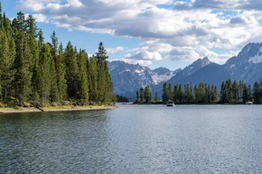 Jackson Gölü 'ndeki Grand Teton Ulusal Parkı' ndaki Colter Körfezi manzarası.