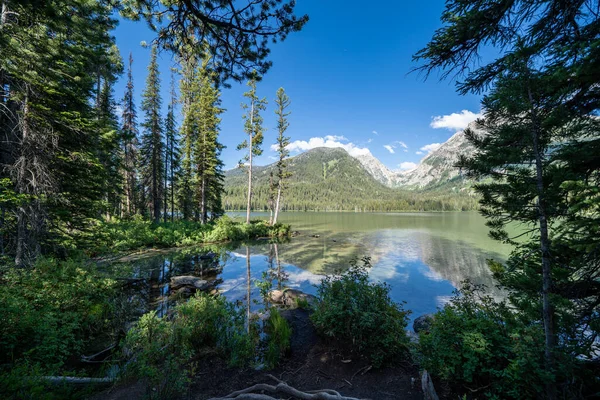 Lago Taggart Enmarcado Por Árboles Bajo Sol Parque Nacional Grand — Foto de Stock