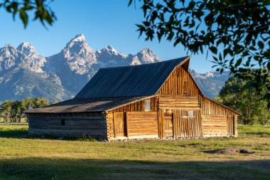 Grand Teton Ulusal Parkı 'ndaki Mormon Row' daki TA Moulton Barn. Yazın açık ve güneşli bir sabah. Ağaçlarla doğal çerçeve