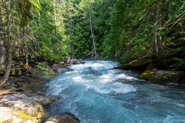 Buzul Ulusal Parkı 'nda güneşli bir sabahta Avalanche Deresi