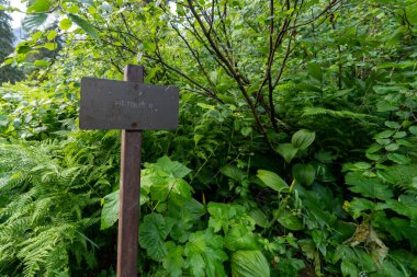 Buzul Ulusal PArk 'taki Avalanche Gölü yolunda çukur tuvaleti için imza atın.