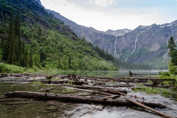 Danau Avalanche Dengan Banyak Batang Kayu Kabut Pagi Taman Nasional — Stok Foto