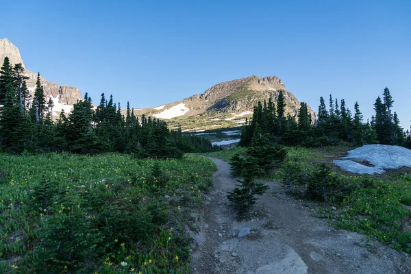 Logan Pass Early Morning Hours Glacier National Park — Stok Foto