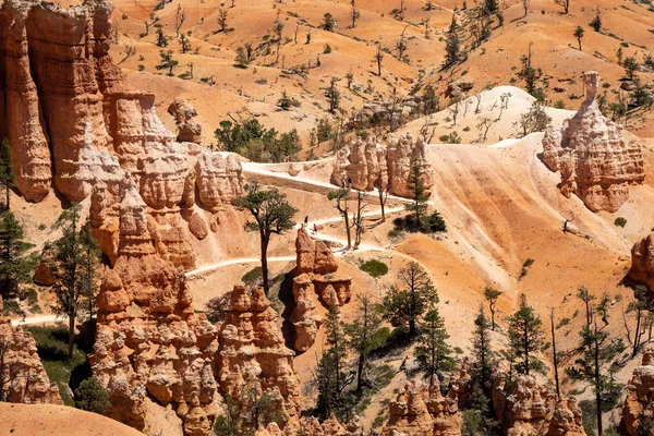 Queens Garden Trail Switchbacks Bryce Canyon National Park — стокове фото